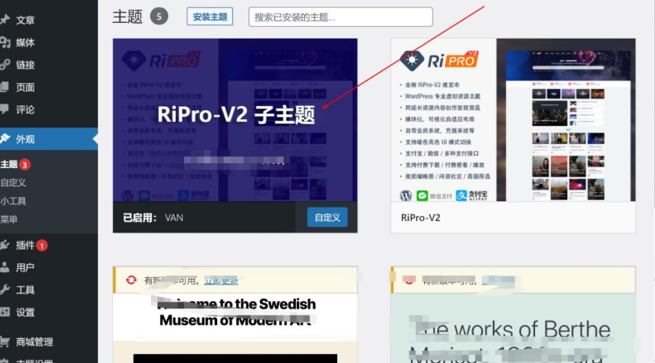 2022最新RiPro-V2子主题美化包源码插图