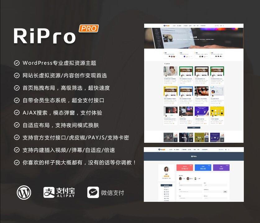 【首发】日主题RiPro v8.6去授权破解版